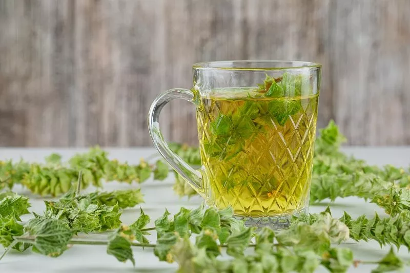 Зеленый чай и давление: повышает или понижает?