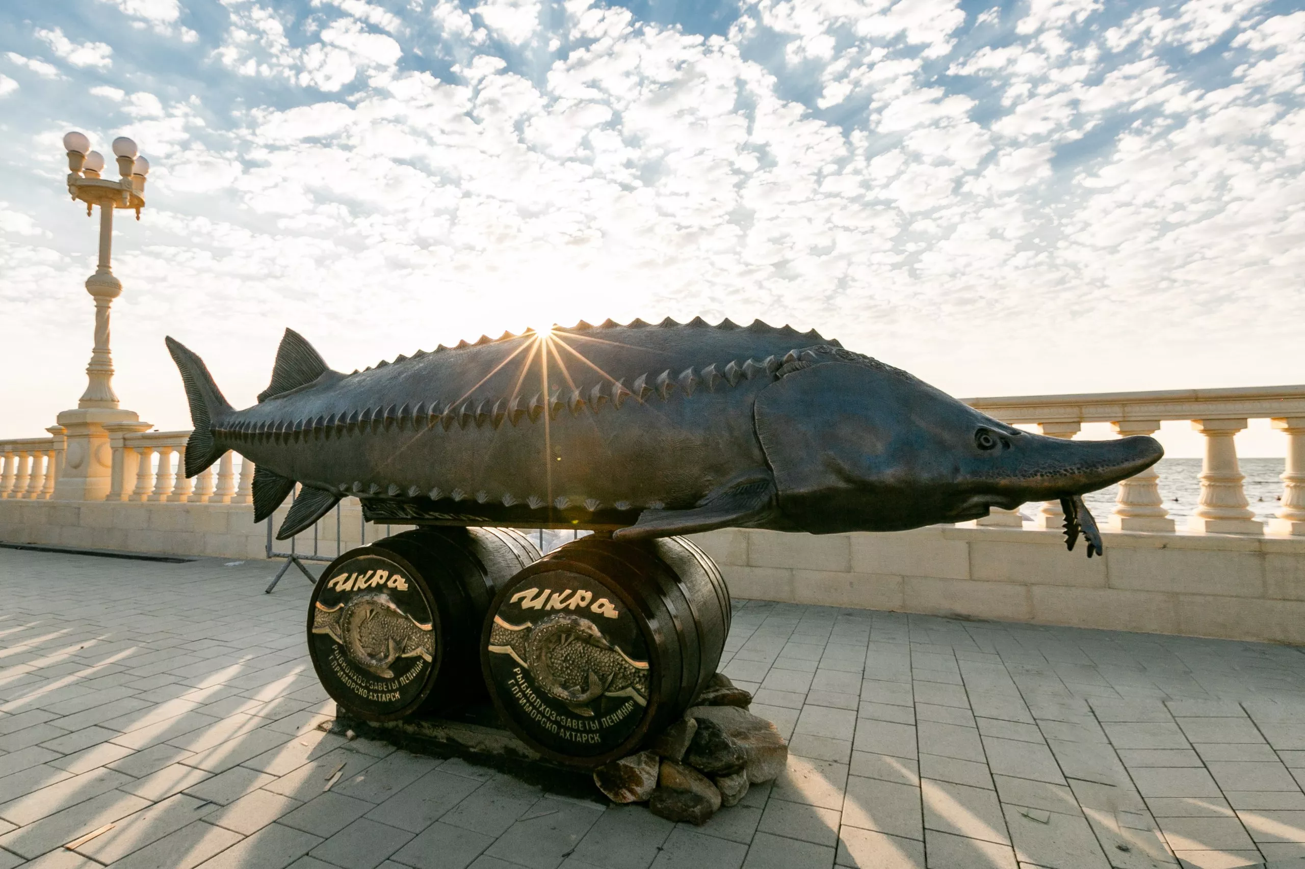 Скульптуру гигантской белуги установили на набережной Приморско-Ахтарска. 8 августа 2023 г. Кубанские новости
