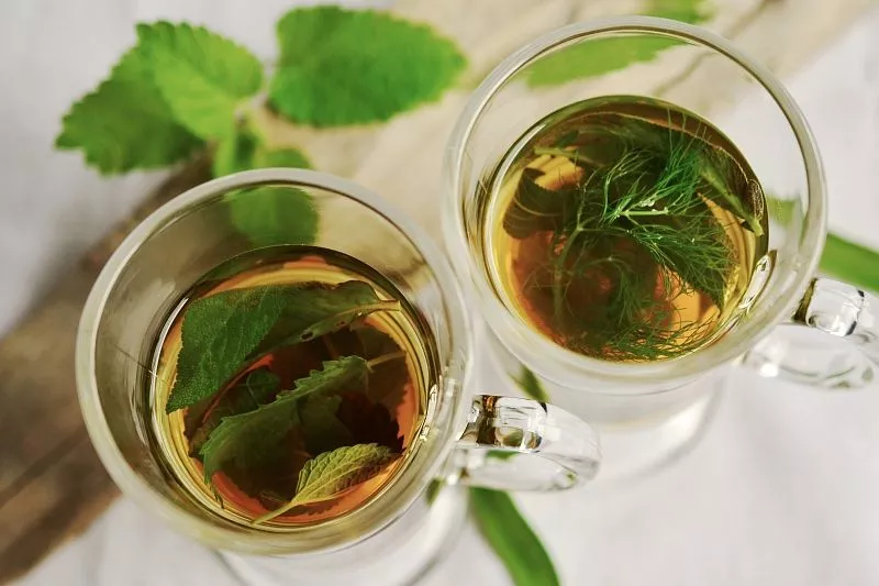 Мятный чай: основные факты и преимущества для здоровья