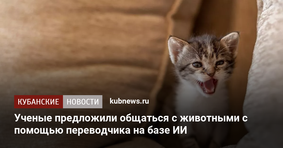 Помог с машиной