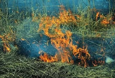 За сутки в России потушили почти 50 природных пожаров