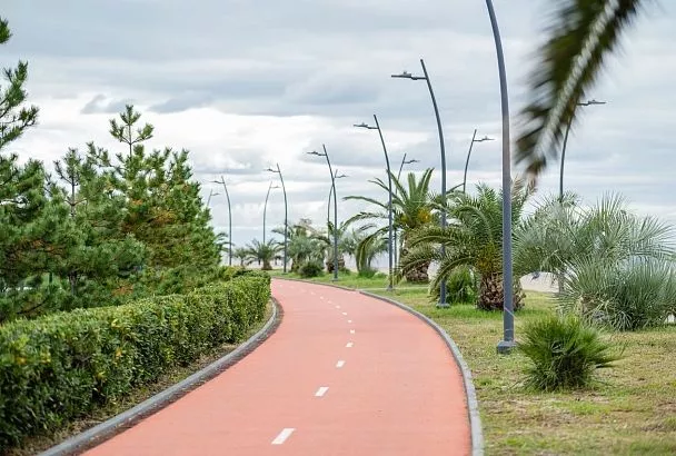 Новогодний забег пройдет в Сириусе утром 1 января