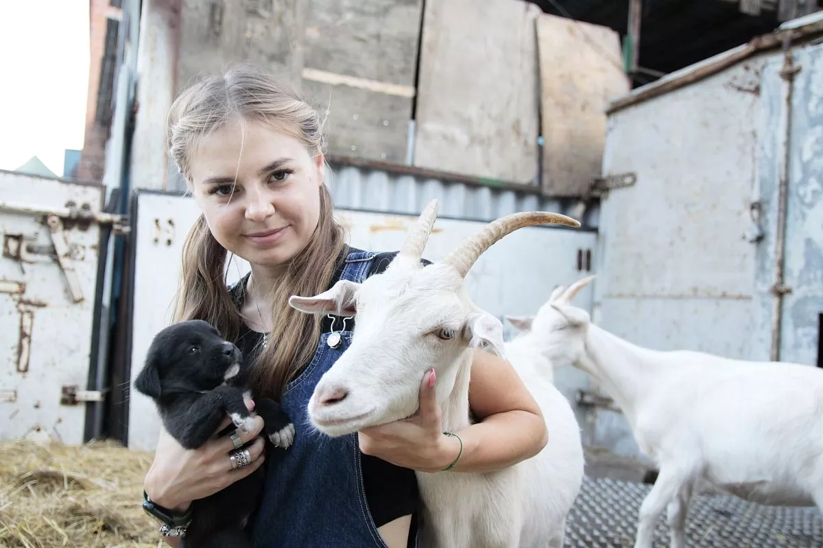 Чужих детей не бывает: в Тихорецке коза «усыновила» щенков. 22 августа 2023  г. Кубанские новости