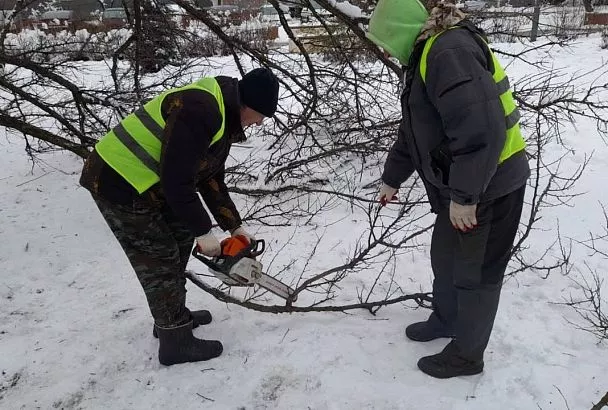 В Краснодаре городские службы убрали 144 упавших из-за снегопада деревьев и веток