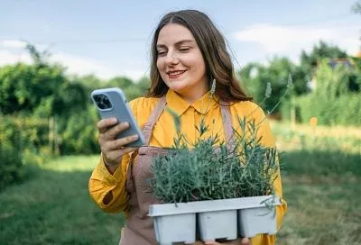 Краснодарские садоводы стали активнее в интернете